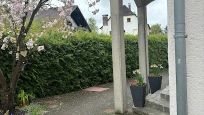 HS2 Dienstleistungen Oberpfalz Steinreinigung aller Art