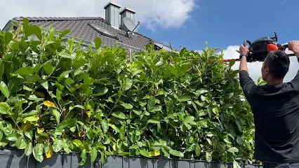 AB Reinigung & Hausmeisterservice