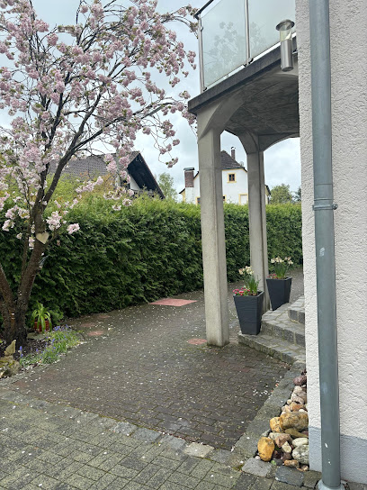 HS2 Dienstleistungen Oberpfalz Steinreinigung aller Art — Bild 1