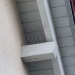 Schwaben Dienstleistungen