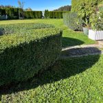 Dienstleistungen Chiemgau