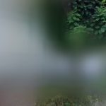 Hausmeisterdienste Stegaurach