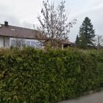 Gebäudereinigungsservice Werner Scheibenzuber