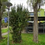 Blick-Struktur Reinigungsservice e.K.