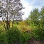 Röma-Gebäudereinigung GmbH