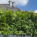 AB Reinigung & Hausmeisterservice