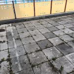 Frankenstein Reinigung